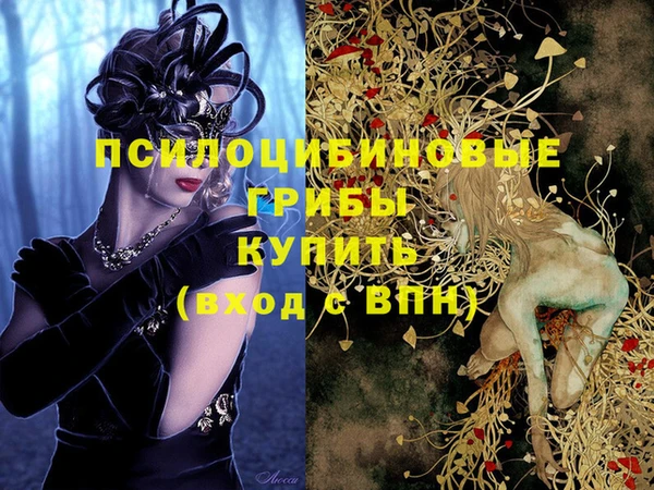 spice Алзамай