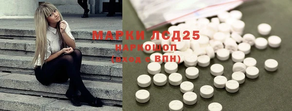 spice Алзамай