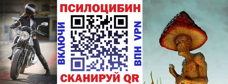 даркнет сайт  Шелехов  Псилоцибиновые грибы Psilocybe 